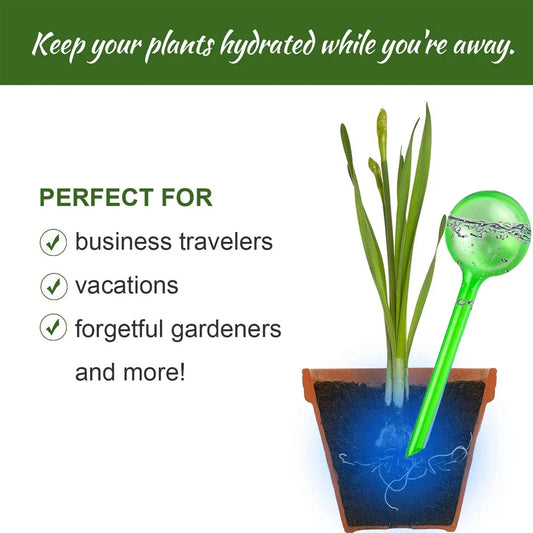 (Pack of 10) 3/6/ Automatic Plant Watering Bulbs Self Watering Globe Balls Water Device Drip Irrigation System for Garden Flower Plants